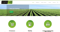 Desktop Screenshot of consnet.co.za